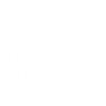 Ecosystra Logo